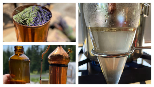 Capturing the Essence - Distilling Essential Oils