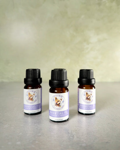 Lavandin Essential Oil | 100% Pure Steam-Distilled Lavandula x Intermedia | Farm-Distilled | 10 ml