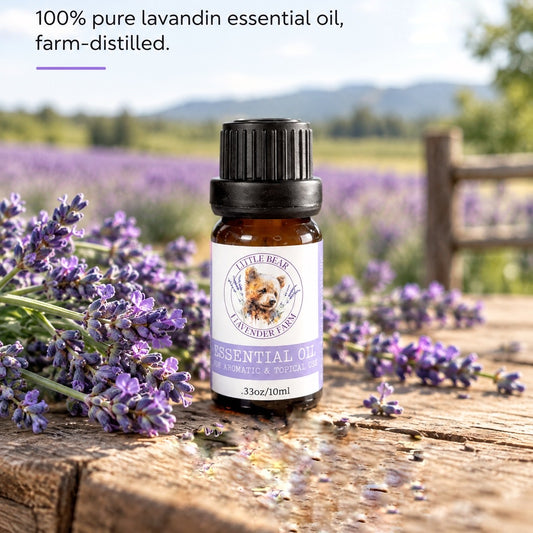 Lavandin Essential Oil | 100% Pure Steam-Distilled Lavandula x Intermedia | Farm-Distilled | 10 ml