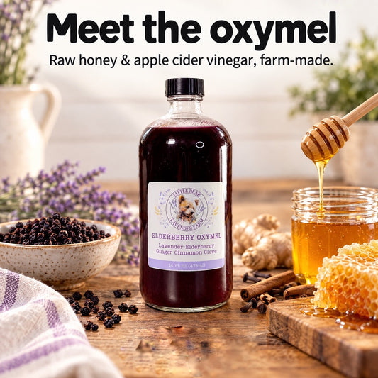 Lavender Elderberry Oxymel | Raw Honey & Apple Cider Vinegar Syrup | Small-Batch, Farm-Made | 16 oz